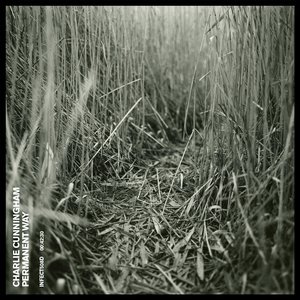 国产成人亚洲综合色婷婷
