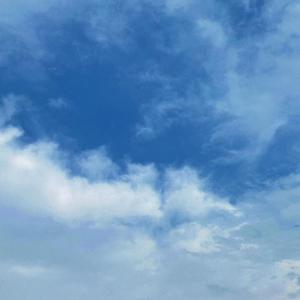 国产成人亚洲综合色婷婷
